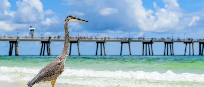 many women use chiropractic care throughout their pregnancy