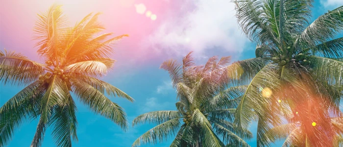 Voyage Chiropractic in Mandarin FL